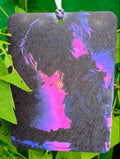 Colorful abstract design on a black background hanging among green leaves