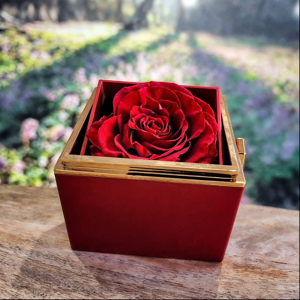 To My Forever Girl