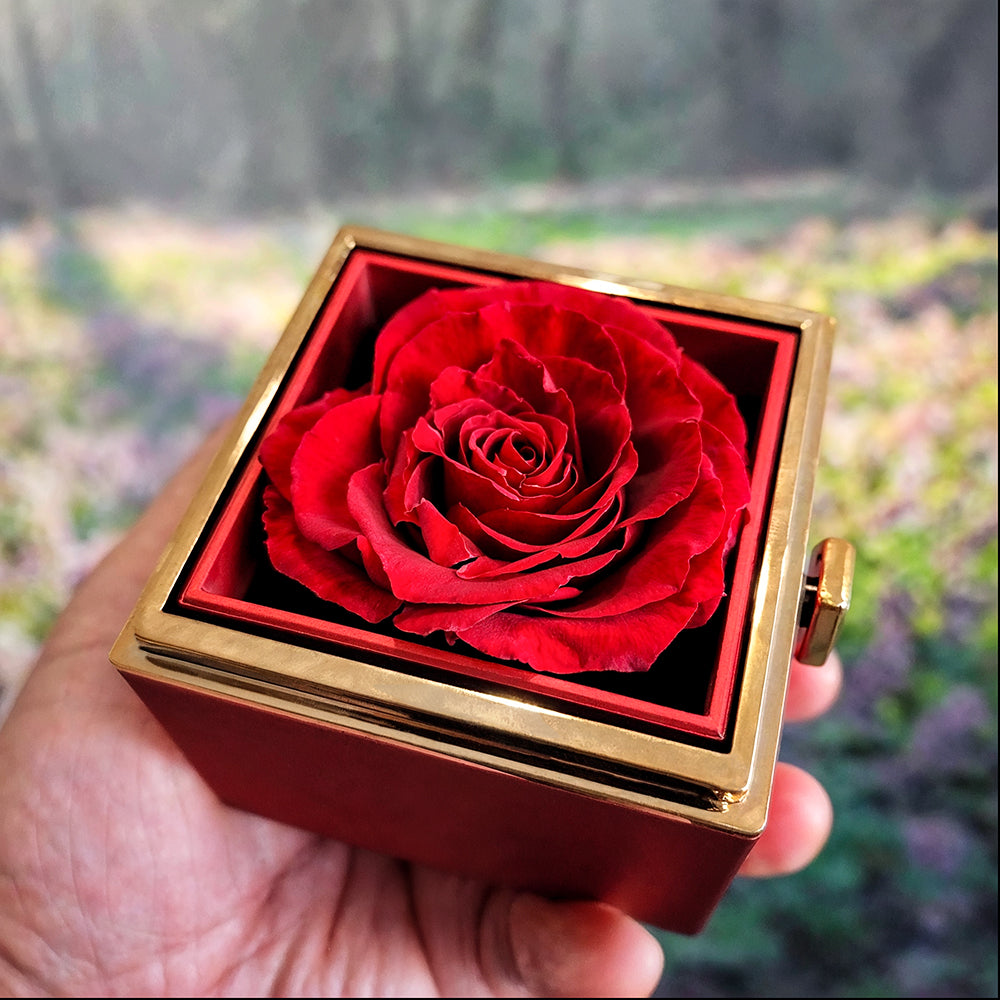 To The Woman Who Holds My Heart